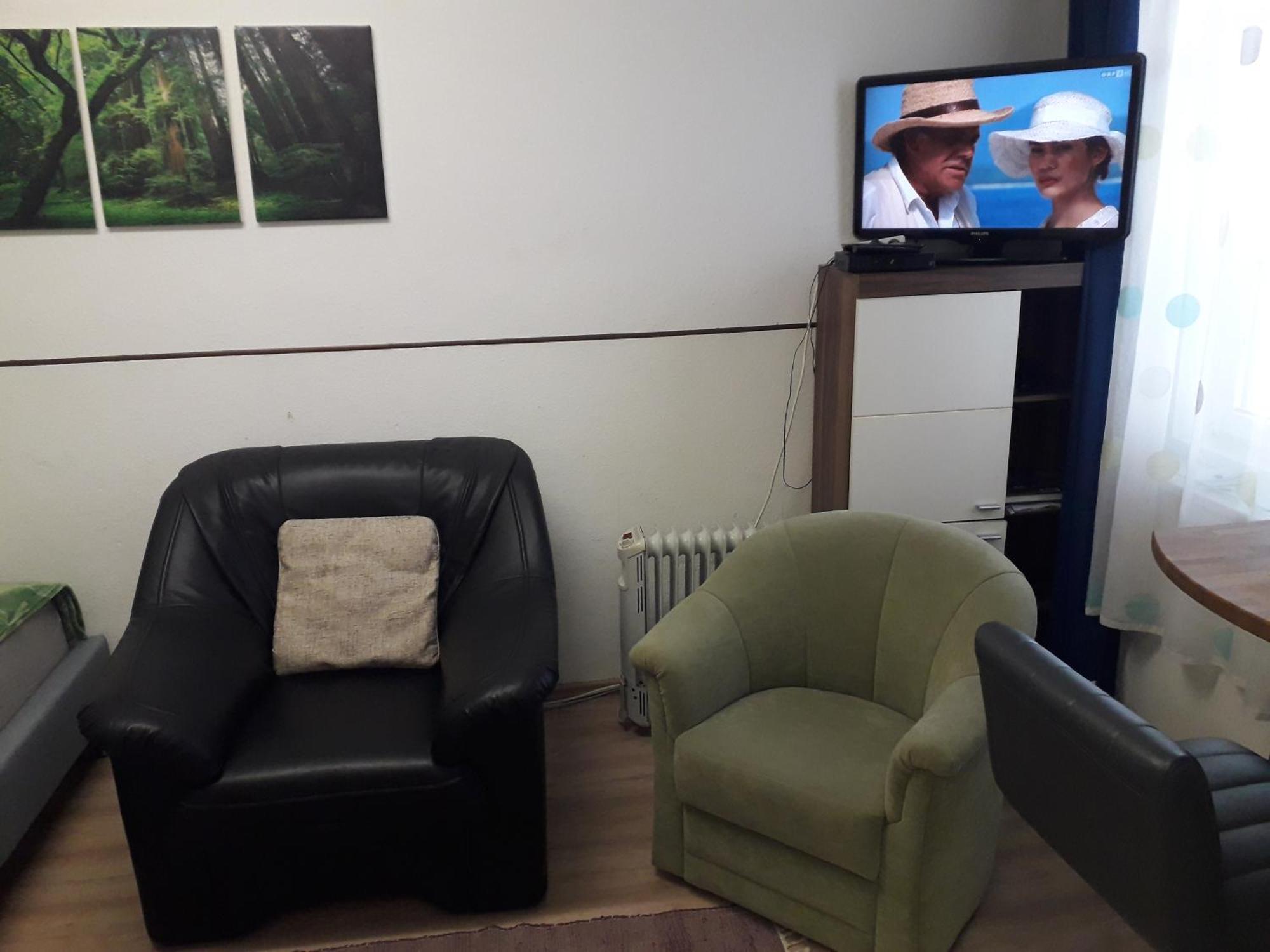 Apartment Ap 1 Im Zentrum Steyr, Bestrooms Eu Dış mekan fotoğraf